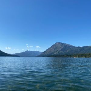 Meet your Posher, Stefiena